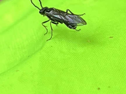 23-05-23 11-35-31 5584